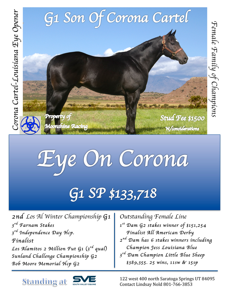 Eye on Corona stallion