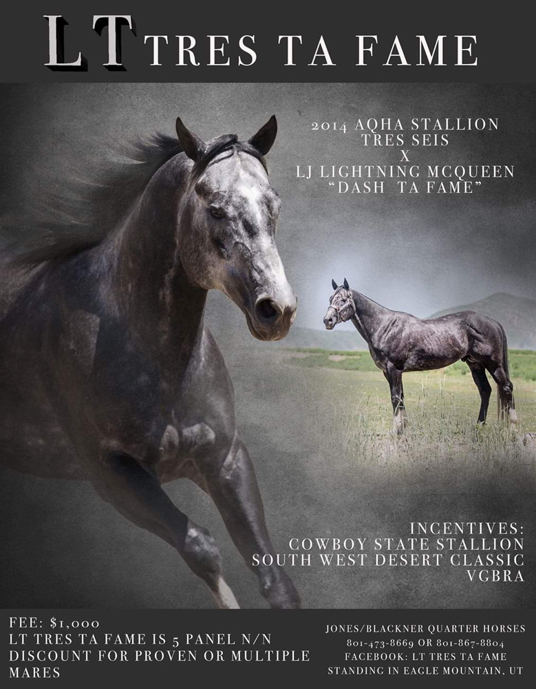 LT Tres Ta Fame stallion